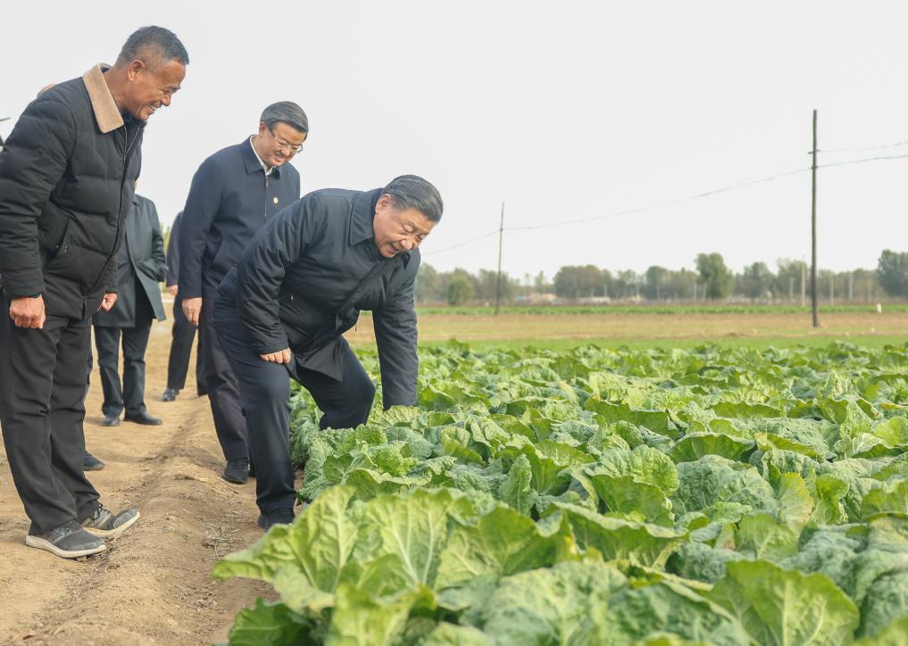 第一观察丨习近平总书记田间地头话农事
