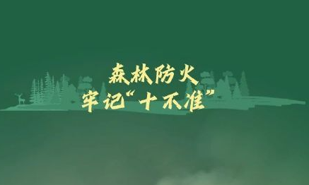 森林防火“十不准”请谨记
